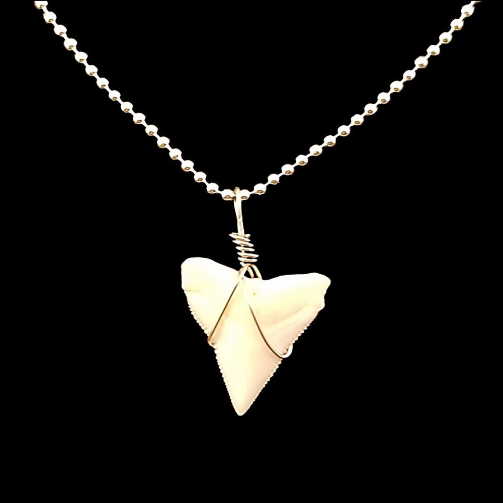 Anklet 925 Sterling Silver Chain and Real Shark Tooth Charm